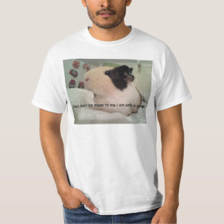 Guinea Pig Comic Sans Fruit??? idk T-Shirt