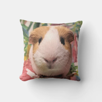 Guinea pig cushion