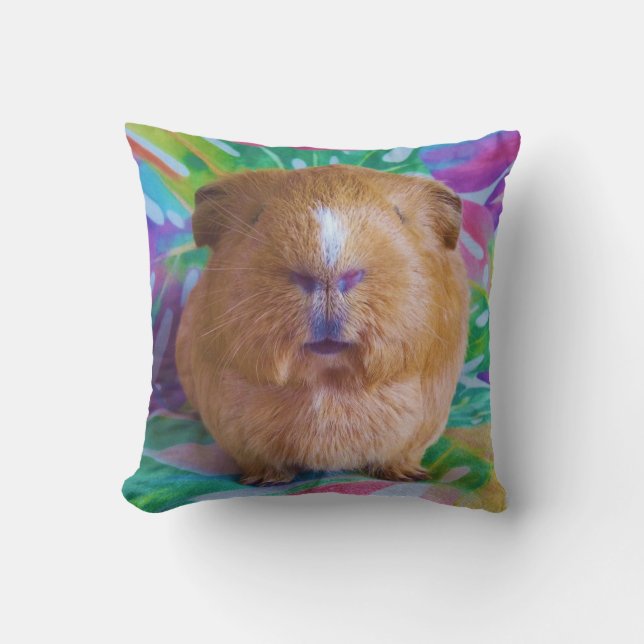 Guinea pig cushion (Front)