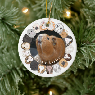 Guinea Pig Customisable Ceramic Tree Decoration