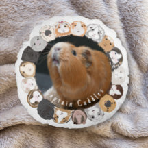 Guinea Pig Customisable 