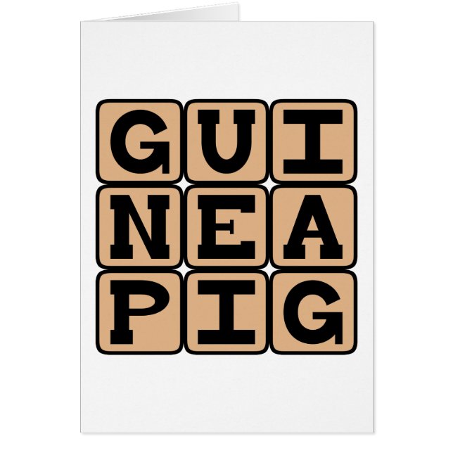 Guinea Pig, Cute Pet or Test Subject (Front)