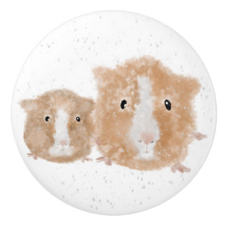 Guinea Pig Door Knob