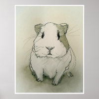 Guinea Pig Drawing - Art Print