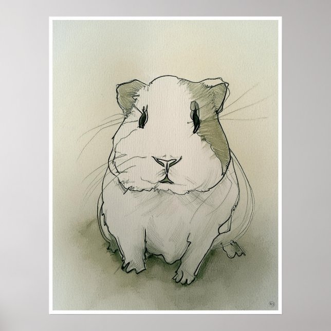 Guinea Pig Drawing - Art Print (Front)