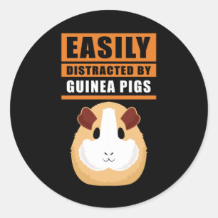 Guinea Pig   Easily Distracted By Guinea Pigs Classic Round Sticker