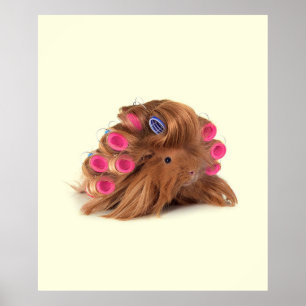 Guinea Pig   Funny Curly Guinea Pig Lover Gifts Poster