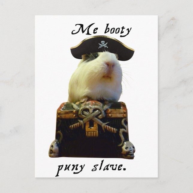 Guinea Pig Funny Pirate Postcard (Front)