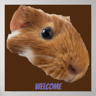 guinea pig head poster