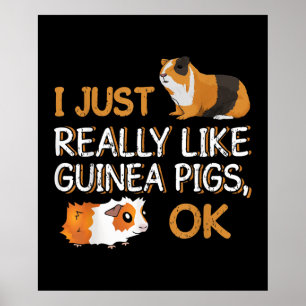 Guinea Pig I Just Really Like Guinea Pigs Ok Poster