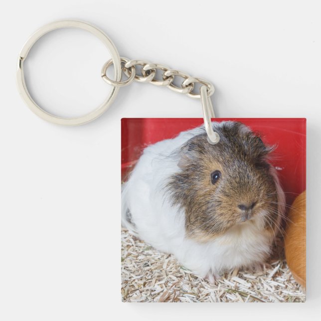 Guinea pig in a cage key ring (Front)