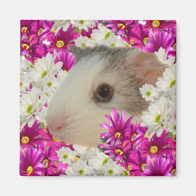 Guinea Pig In Daisies, Fridge Magnet (Front)