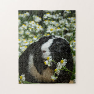 Guinea Pig In Flower Garden Jigsaw Puzzle