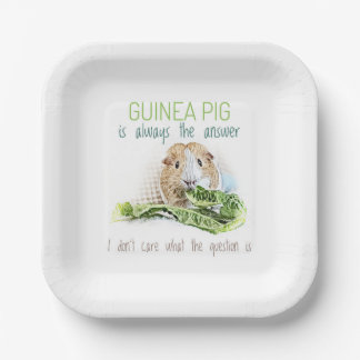 Guinea Pig is Always the Answer Paper Plates