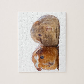 Guinea Pig Jigsaw Puzzle