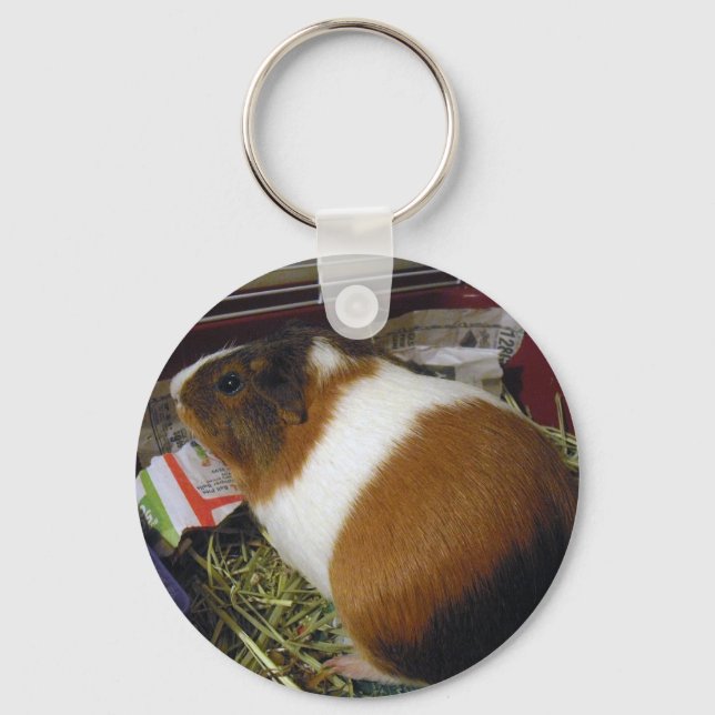 Guinea Pig Key Ring (Front)