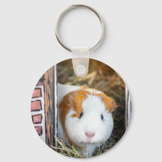 Guinea pig key ring