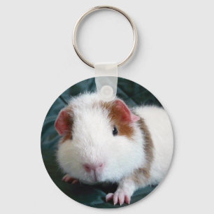 Guinea Pig Key Ring