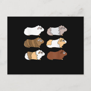 Guinea Pig Love Guinea Pig Wheek Wheek Feed Me Postcard