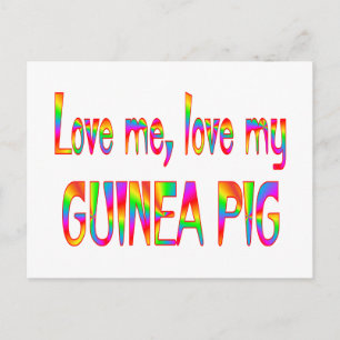 Guinea Pig Love Postcard