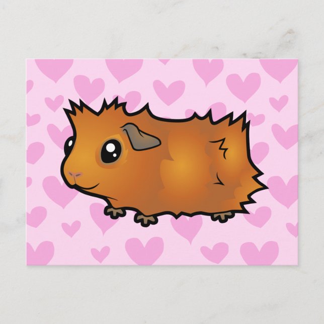 Guinea Pig Love (scruffy) Postcard (Front)