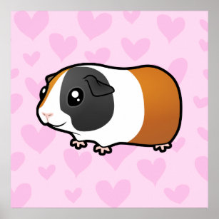 Guinea Pig Love (smooth hair) Poster