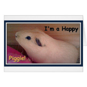 Guinea Pig Lover