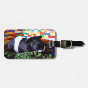 Guinea Pig Luggage Tag