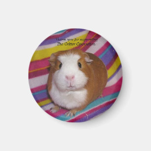 Guinea Pig Magnet #3