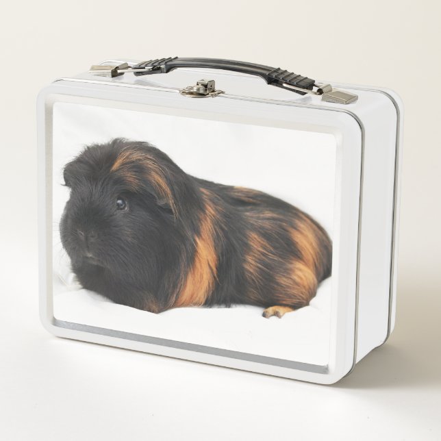 Guinea Pig Metal Lunch Box (Front)