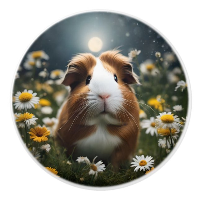 Guinea Pig Moon Daisies, Ceramic Knob (Front)