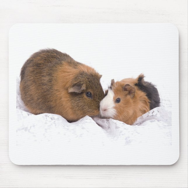 guinea pig mouse pad (Front)