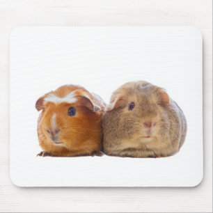 Guinea Pig Mouse Pad