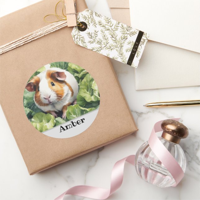 guinea pig name gift wrapping classic round sticker (Gifting)