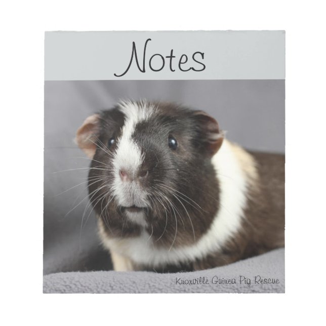 Guinea Pig Notepad (Front)
