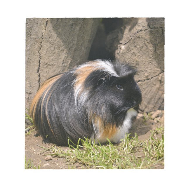Guinea pig notepad (Front)
