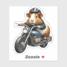 Guinea Pig on a Motorcycle, Road Trip