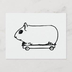 Guinea Pig on Skateboard Art Postcard
