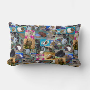 Guinea Pig Photo Collage, Lumbar Cushion