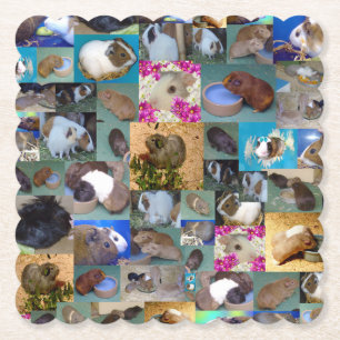 Guinea Pig Photo Collage, Paper Coaster