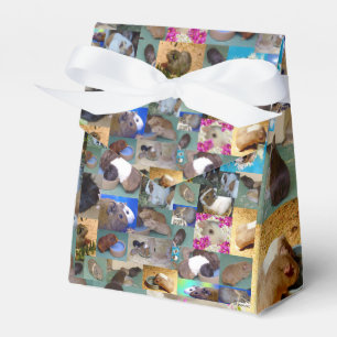 Guinea Pig Photo Collage, Party Favour Box