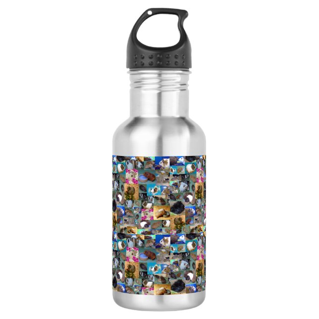 Guinea Pig Photo Collage,   Water Bottle (Front)