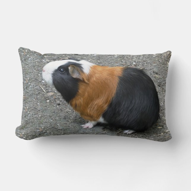 Guinea Pig Photo Lumbar Cushion (Front)