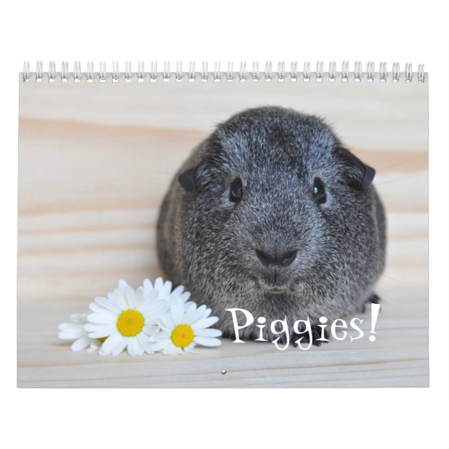Guinea Pig Photographs Calendar (Cover)