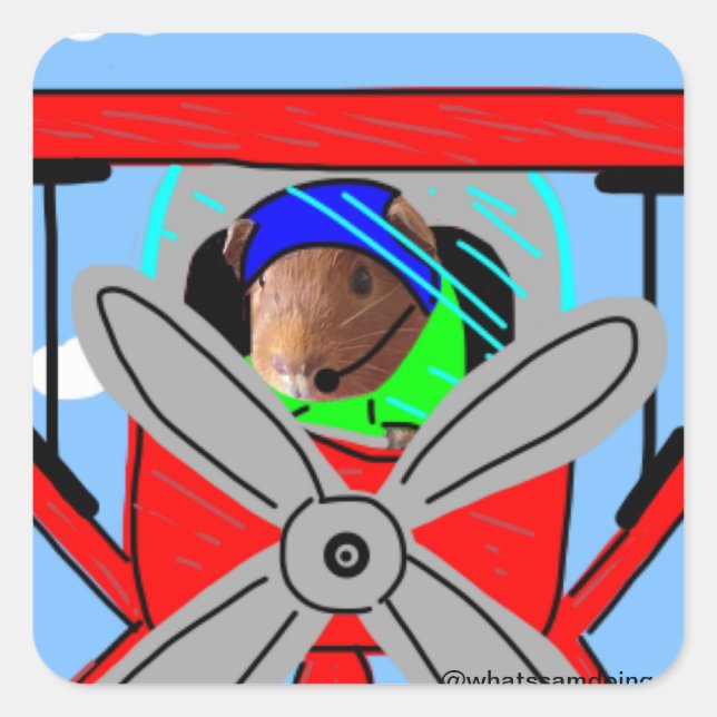 Guinea Pig Plane Pilot Sticker (Front)