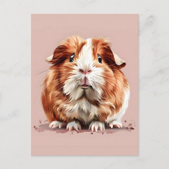 Guinea Pig Portrait Postcard (Front)