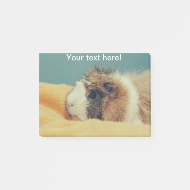 Guinea pig post-it notes (Front)