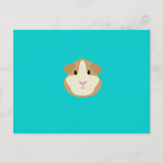 Guinea pig postcard