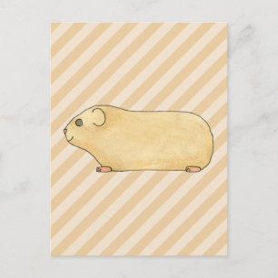 Guinea Pig. Postcard