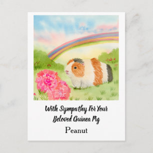 Guinea Pig Rainbow Sympathy with Carnations Name Postcard